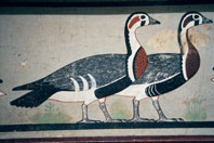 An ancient Egyptian frieze of two geese. This represents companionship and community.